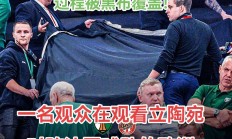九游娱乐官网服务好-欧洲国家杯预选赛实力对决，胜败纠纷场场戏剧的简单介绍