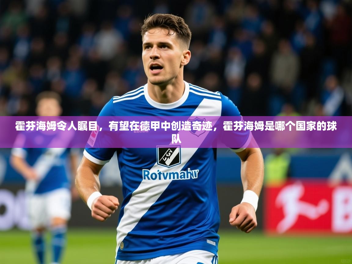 2025九游娱乐app霍芬海姆令人瞩目,有望在德甲中创造奇迹,霍芬海姆是哪个国家的球队 第2张