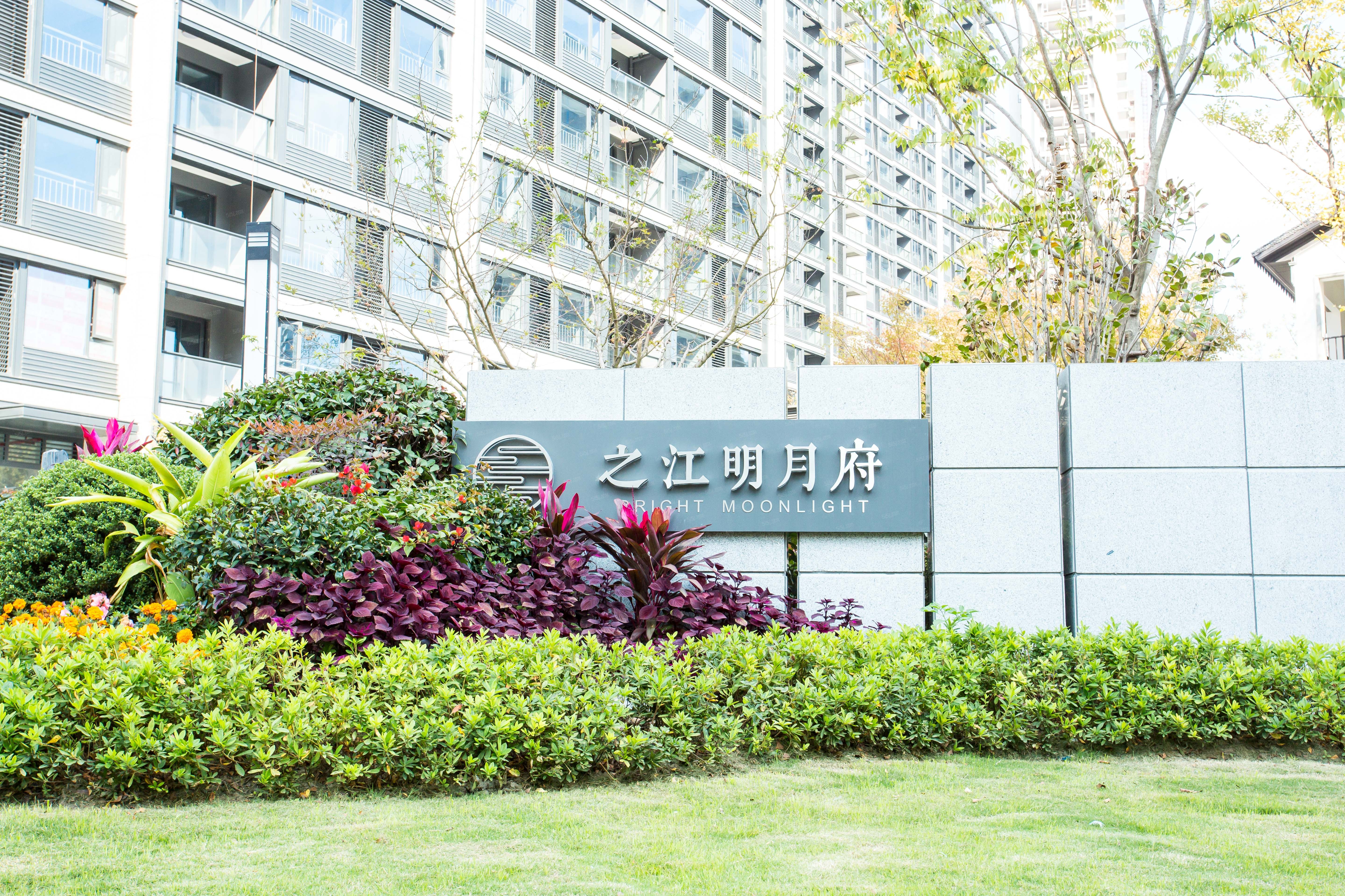 杭州绿城登顶胜场，喜悦无限